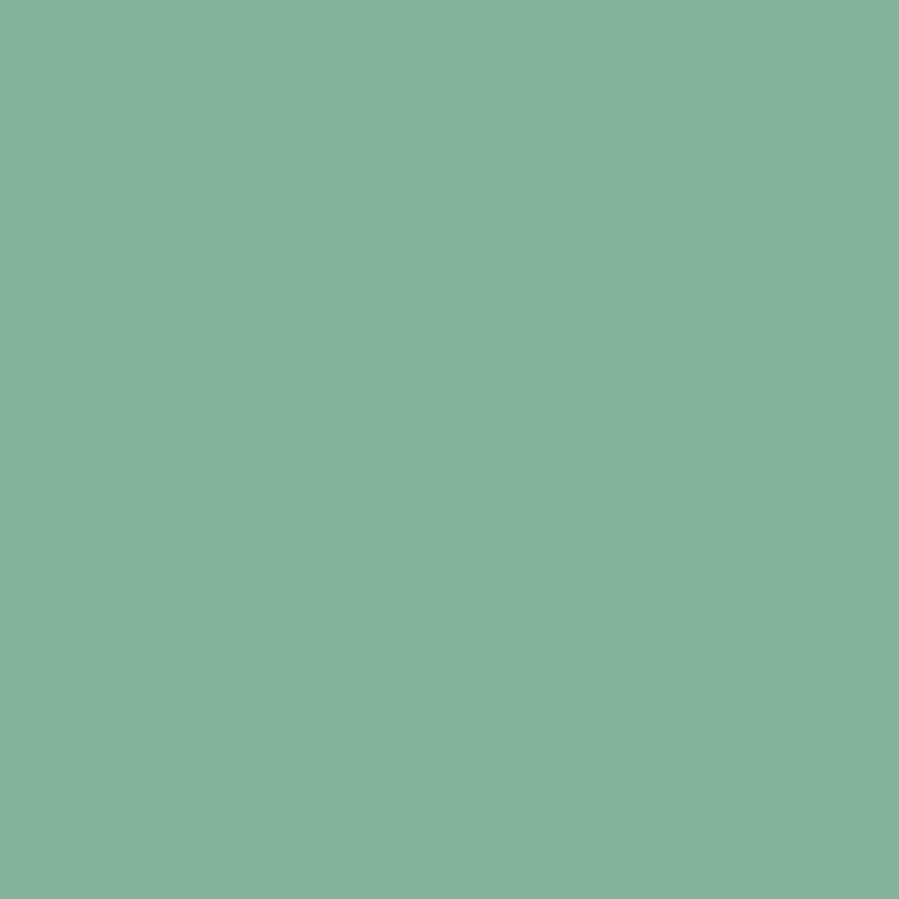 WIN HF Solid 1 color
